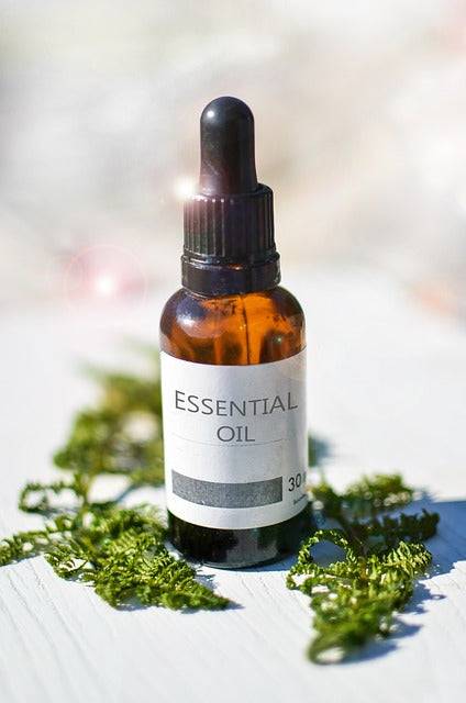 Essência da Natureza em Cuidados com a Pele – MYXCAPE