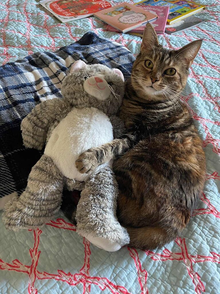 Domingos com Tabs the Cat, Makeup and Beauty Blog Mascot, vol. 855
