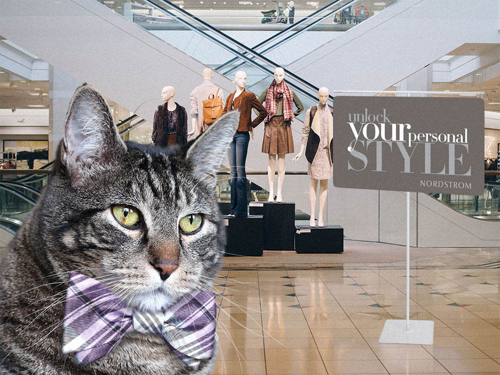 Domingos com Tabs the Cat, Makeup and Beauty Blog Mascot, vol. 858