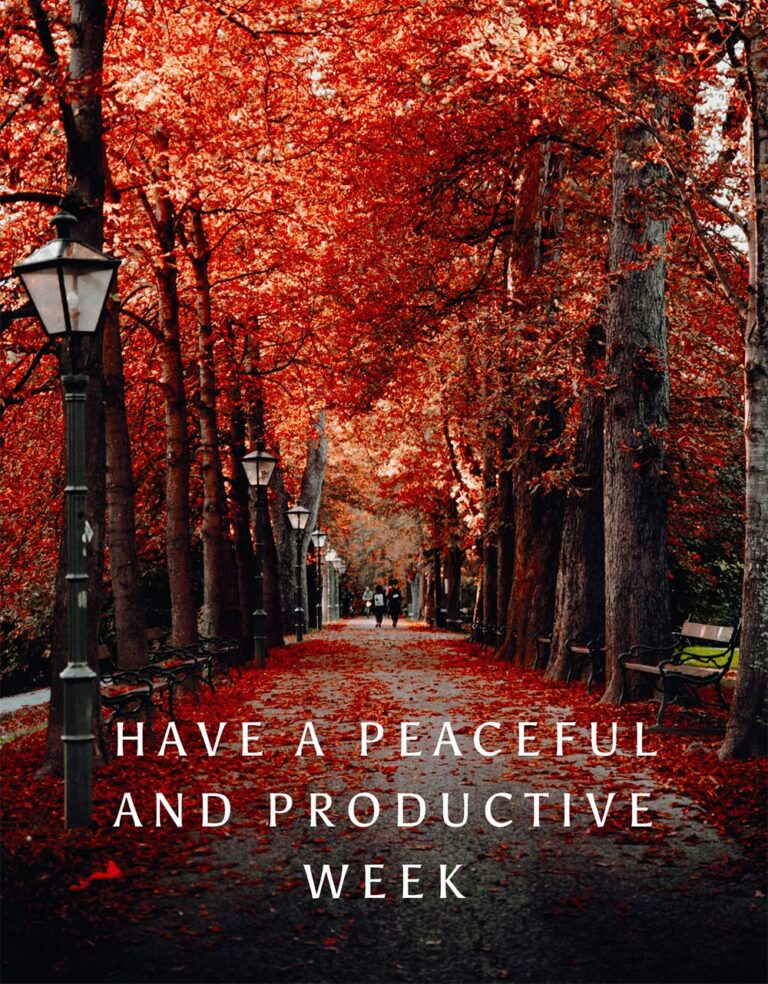 Enquete de segunda-feira do blog de maquiagem e beleza, vol. 890