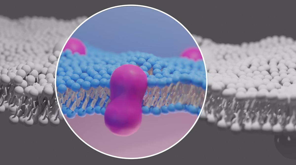 Tecnologia avançada de matriz extracelular e biomoléculas derivadas de células estão reescrevendo as regras de reparo e regeneração pós-tratamento