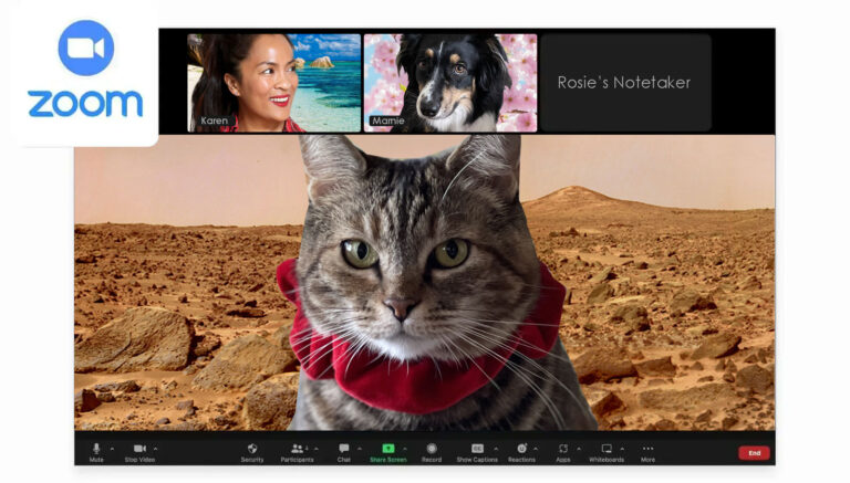 Domingos Com Guias o Gato, Mascote do Blog de Maquiagem e Beleza, Vol. 878